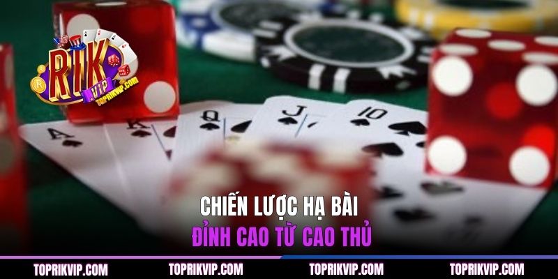 Chiến lược hạ bài đỉnh cao từ cao thủ