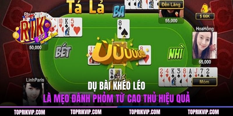 Dụ bài khéo léo là mẹo đánh Phỏm từ cao thủ hiệu quả